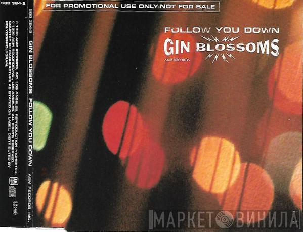  Gin Blossoms  - Follow You Down