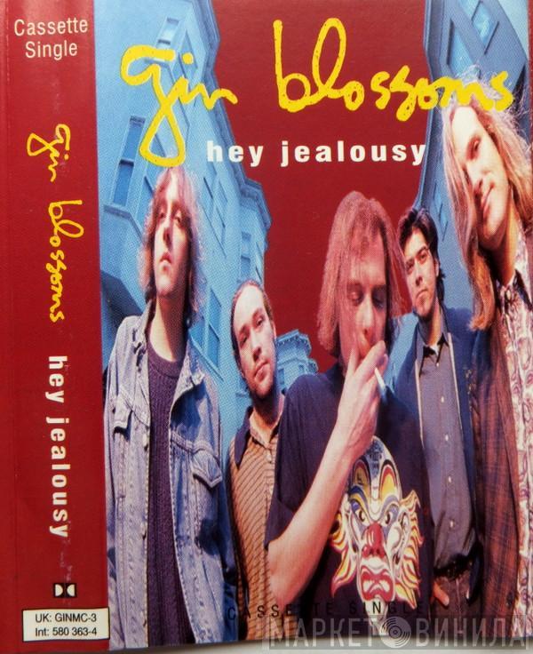 Gin Blossoms - Hey Jealousy