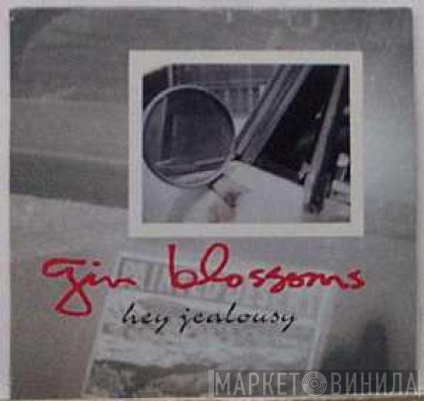  Gin Blossoms  - Hey Jealousy