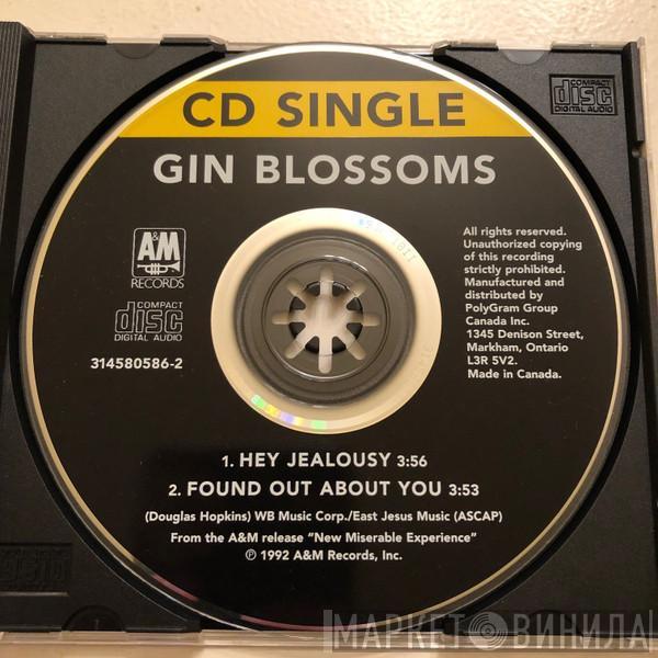  Gin Blossoms  - Hey Jealousy