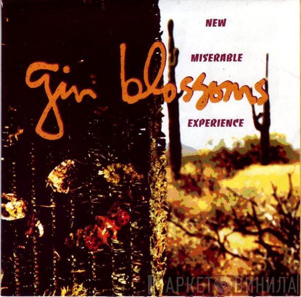  Gin Blossoms  - New Miserable Experience