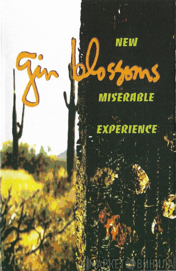 Gin Blossoms - New Miserable Experience