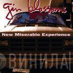 Gin Blossoms - New Miserable Experience