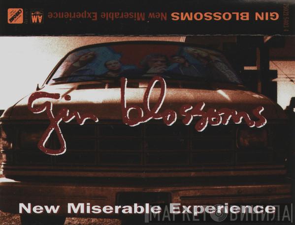  Gin Blossoms  - New Miserable Experience