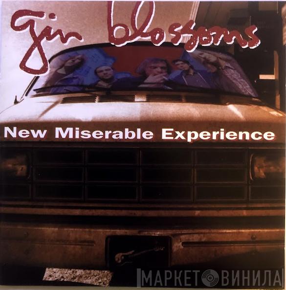  Gin Blossoms  - New Miserable Experience