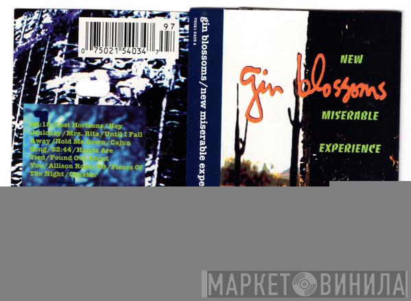  Gin Blossoms  - New Miserable Experience