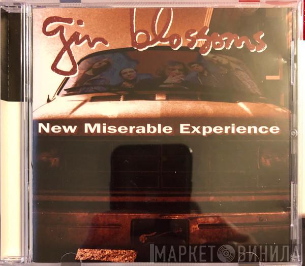  Gin Blossoms  - New Miserable Experience