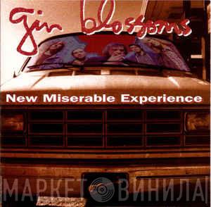  Gin Blossoms  - New Miserable Experience