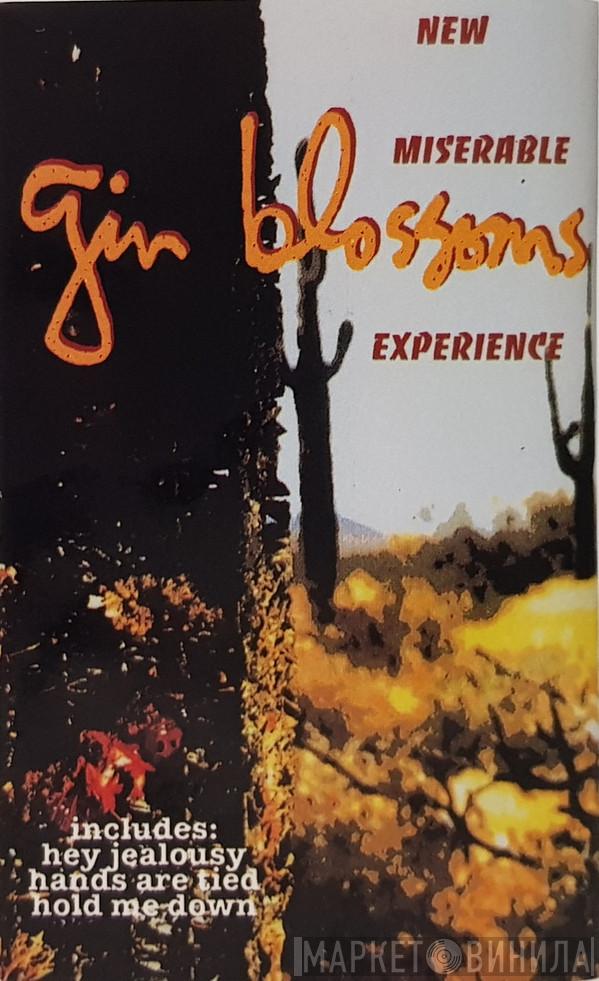  Gin Blossoms  - New Miserable Experience