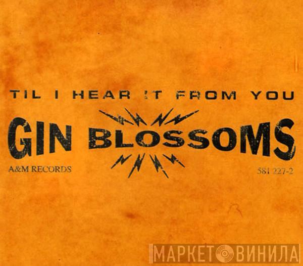  Gin Blossoms  - Til I Hear It From You