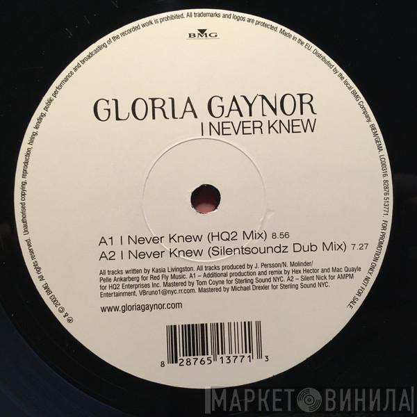  Gloria Gaynor  - I Never Knew