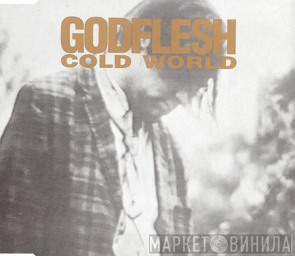 Godflesh  - Cold World