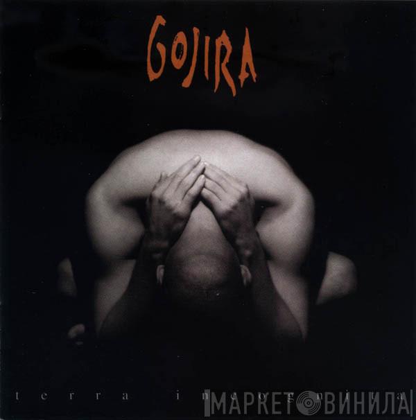  Gojira   - Terra Incognita