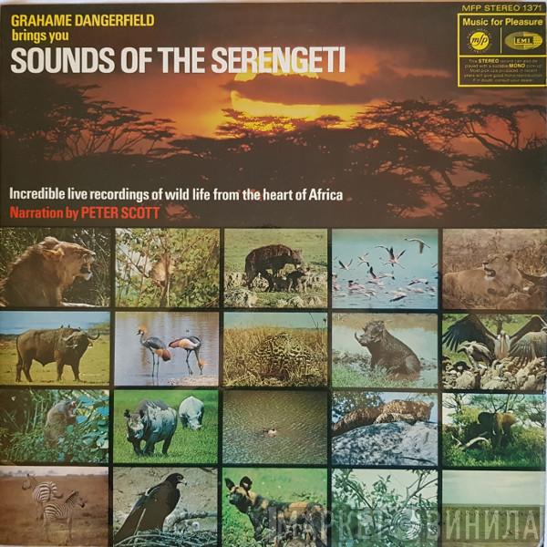 Grahame Dangerfield - Sounds Of The Serengeti