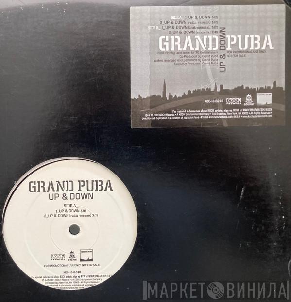  Grand Puba  - Up & Down
