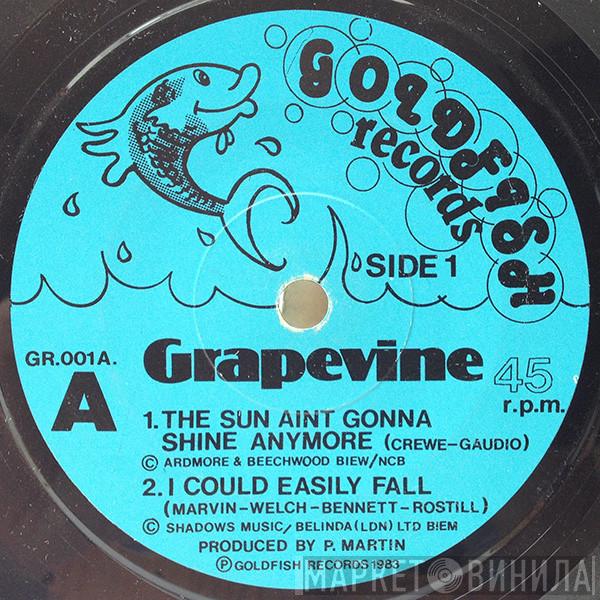 Grapevine  - The Sun Aint Gonna Shine Anymore