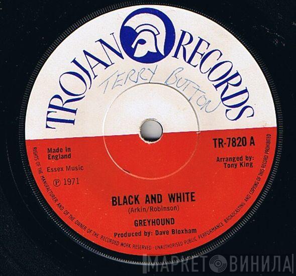 Greyhound  - Black And White
