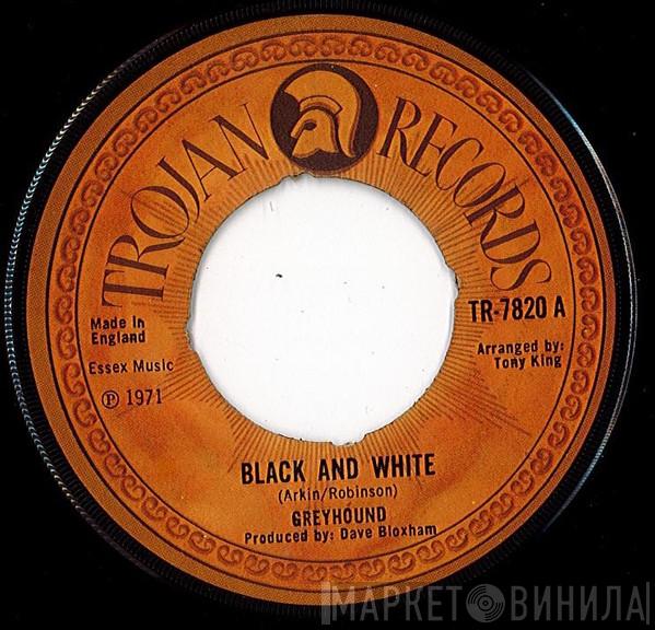 Greyhound  - Black And White