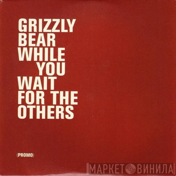 Grizzly Bear - While You Wait For The Others