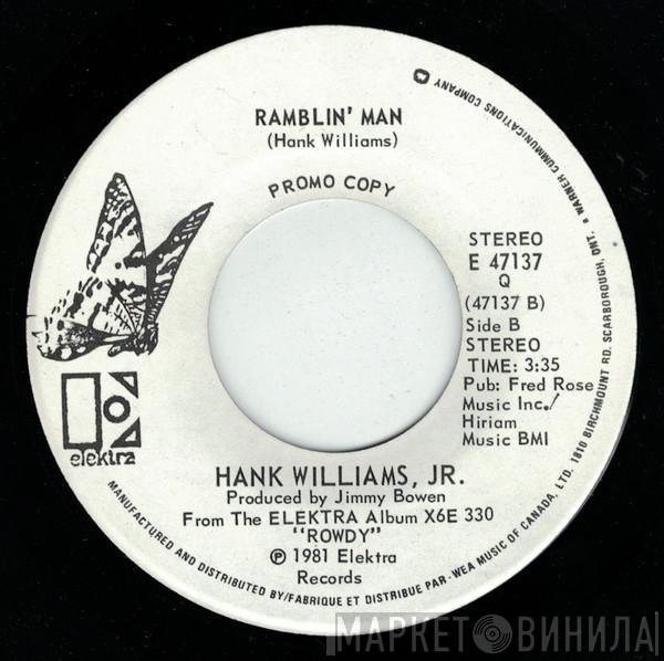 Hank Williams Jr.  - Dixie On My Mind