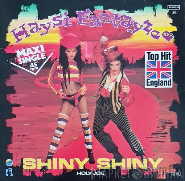  Haysi Fantayzee  - Shiny Shiny