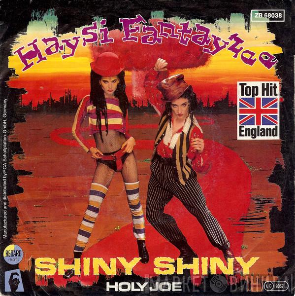  Haysi Fantayzee  - Shiny Shiny