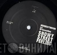 Herbest Moon - Snowy Street Feeling