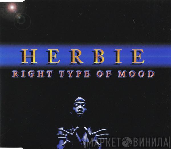  Herbie   - Right Type Of Mood