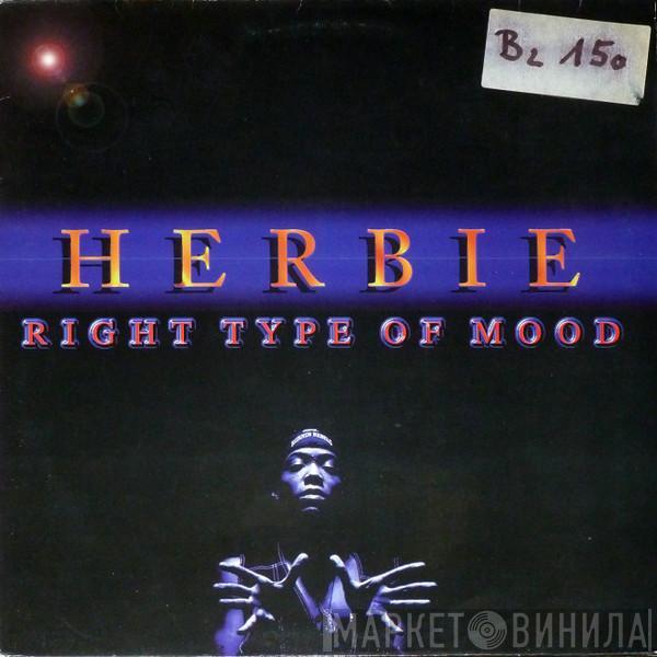  Herbie   - Right Type Of Mood