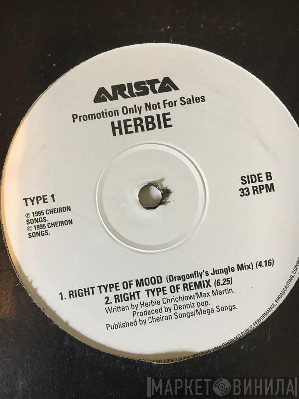 Herbie  - Right Type Of Mood