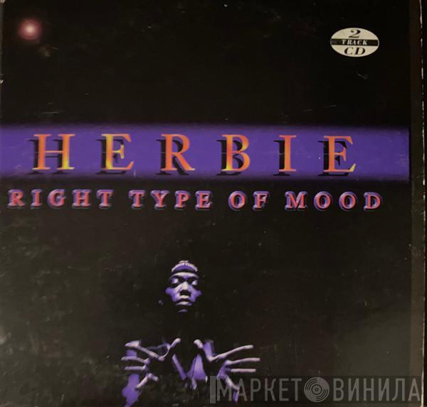  Herbie   - Right Type Of Mood