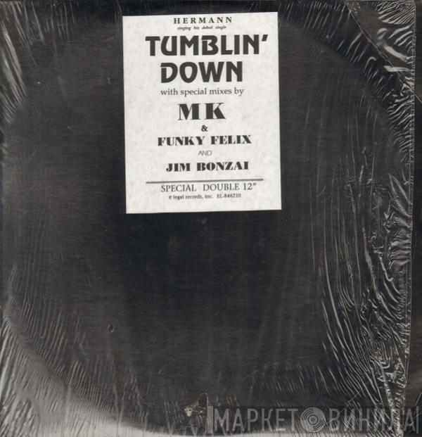  Hermann  - Tumblin' Down