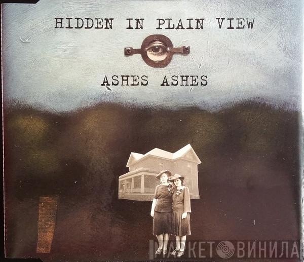 Hidden In Plain View - Ashes Ashes