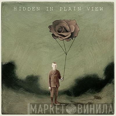  Hidden In Plain View  - Life In Dreaming