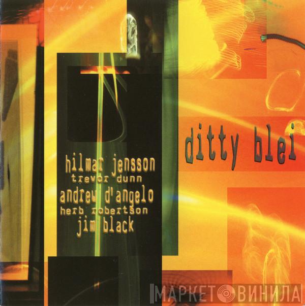 Hilmar Jensson - Ditty Blei
