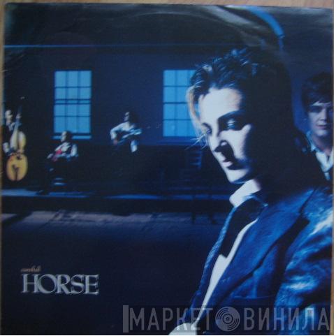  Horse   - Careful