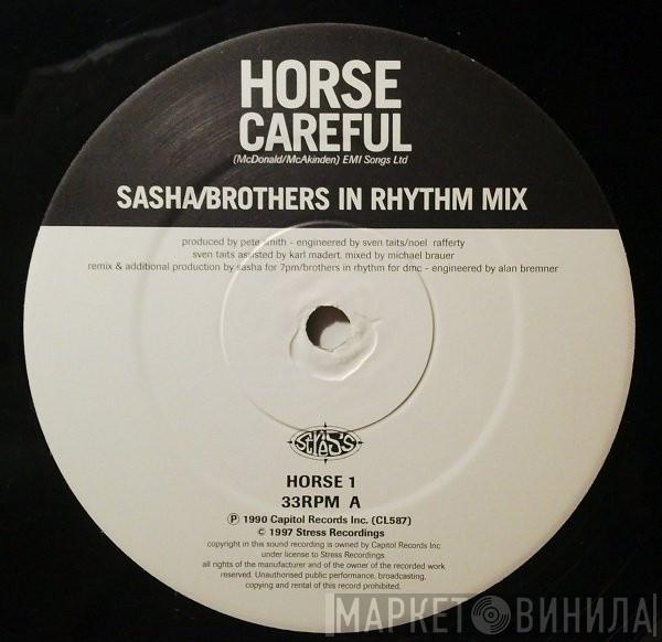  Horse   - Careful