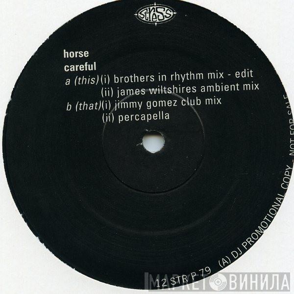 Horse  - Careful