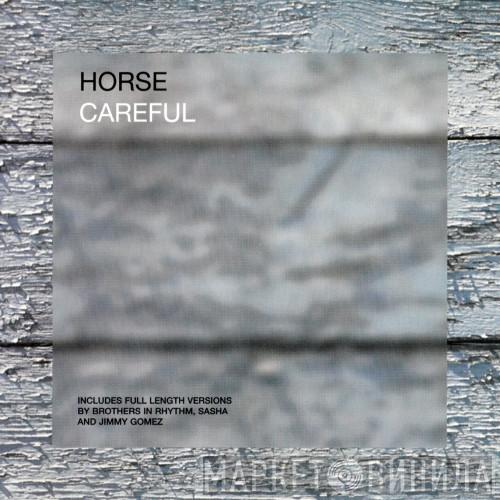  Horse   - Careful