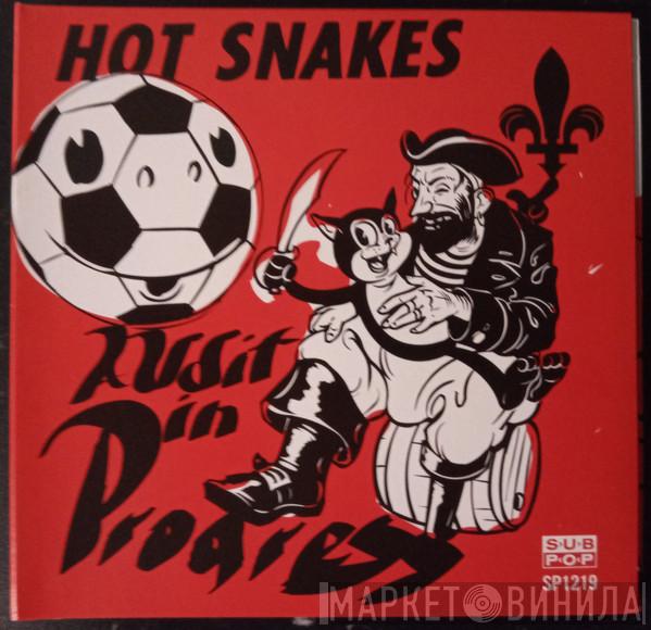  Hot Snakes  - Audit In Progress