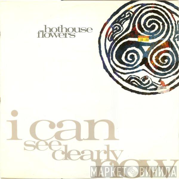  Hothouse Flowers  - I Can See Clearly Now