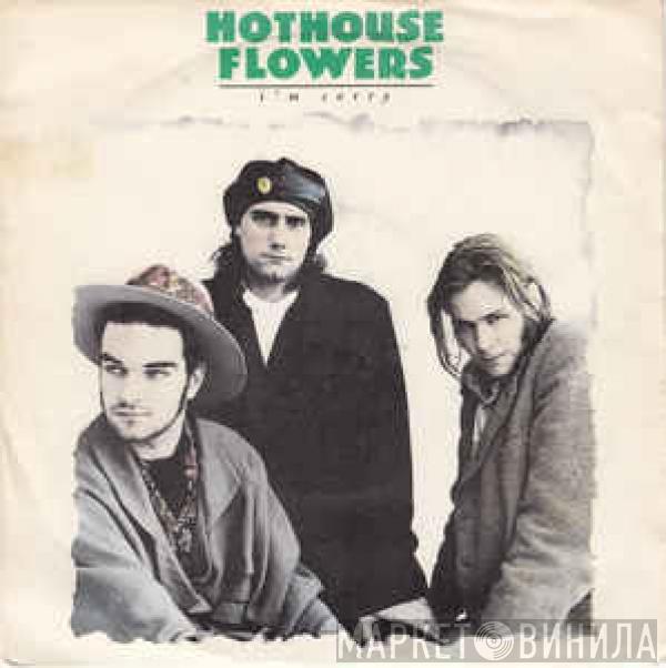  Hothouse Flowers  - I'm Sorry