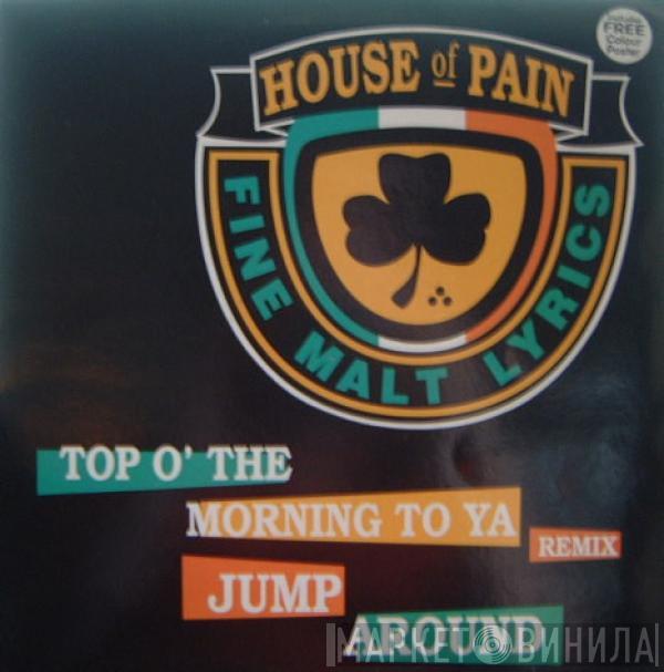 House Of Pain - Top O' The Morning To Ya (Remix) / Jump Around