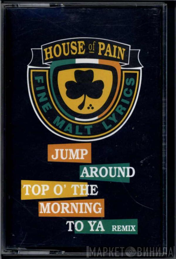 House Of Pain - Top O' The Morning To Ya (Remix) / Jump Around