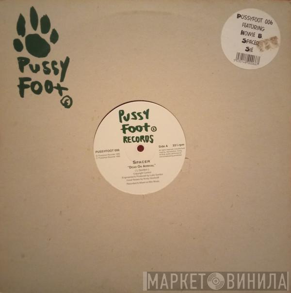 Howie B., Spacer, Sie - Pussyfoot 006