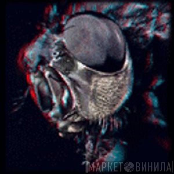 Humanfly - A God Among Insects