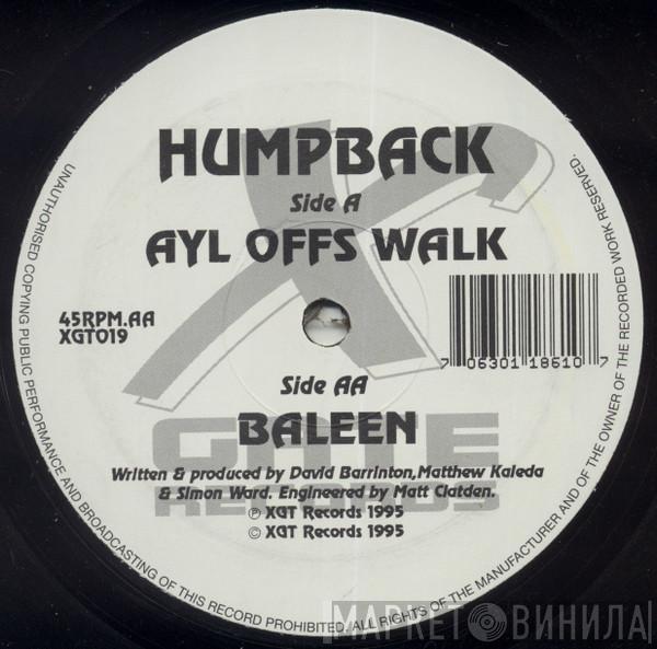 Humpback - Ayl Offs Walk / Baleen
