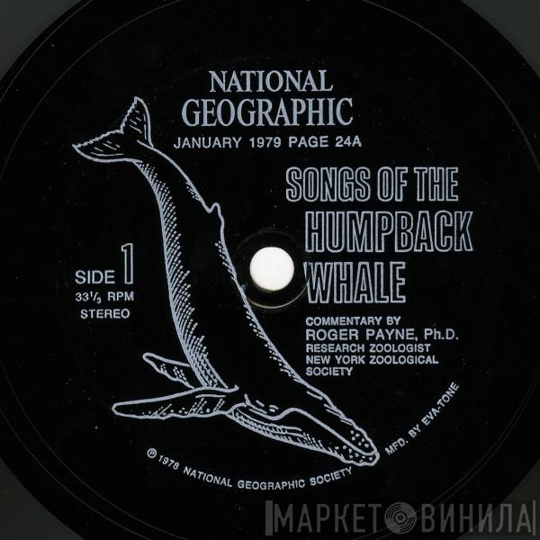 Humpback Whale, Dr. Roger S. Payne - Songs Of The Humpback Whale