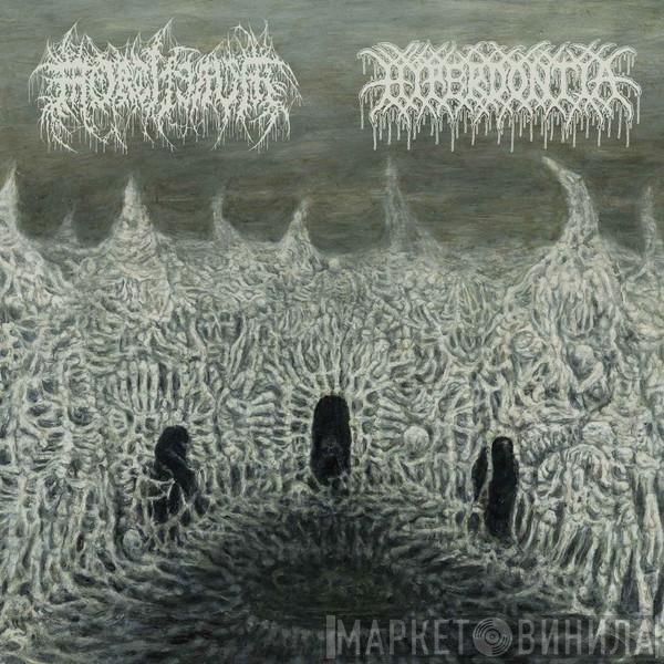 Hyperdontia , Mortiferum - Mortiferum / Hyperdontia