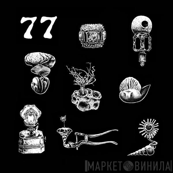 Hypnobirds - 77: A Brief Landing On The Earth's Surface